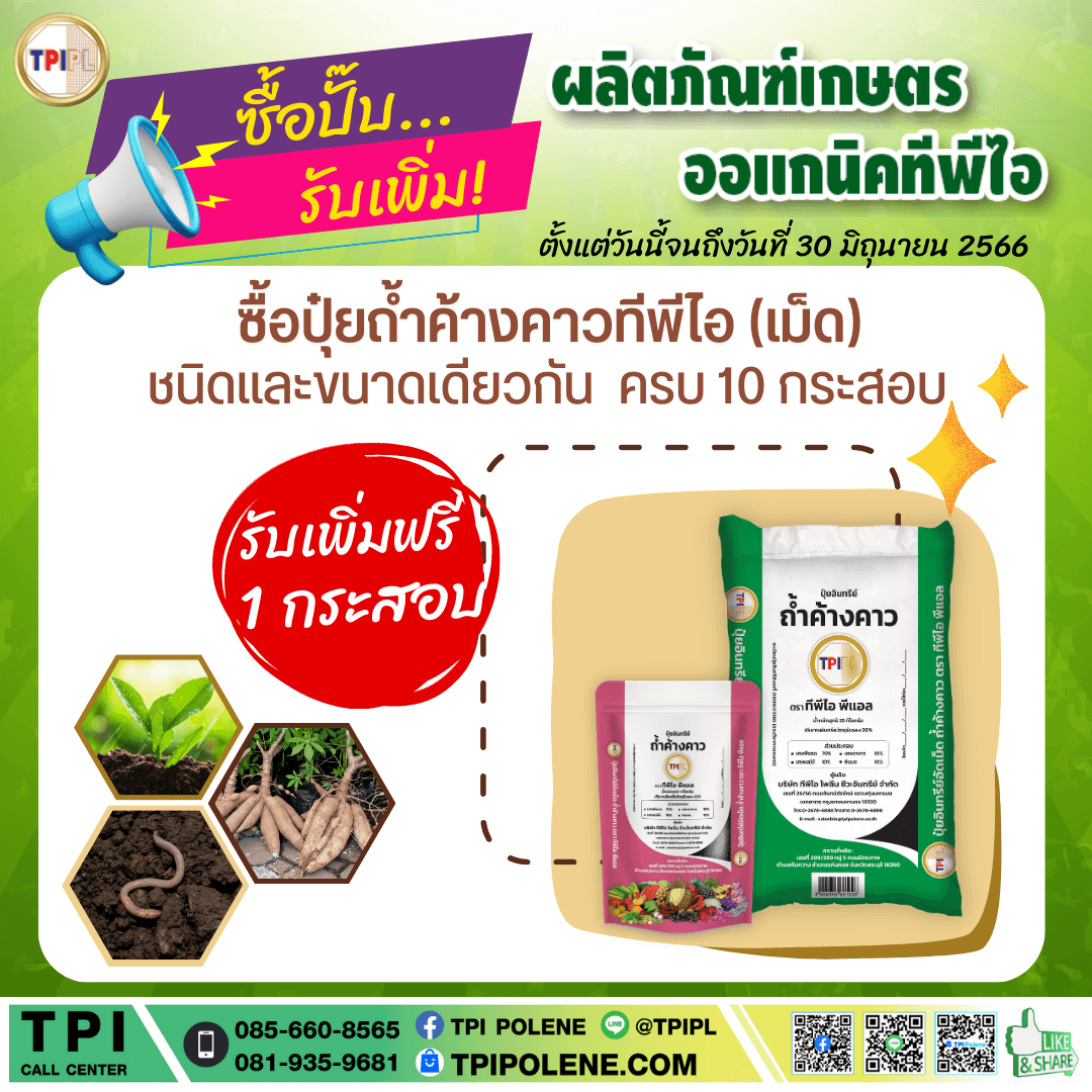 tpipolene