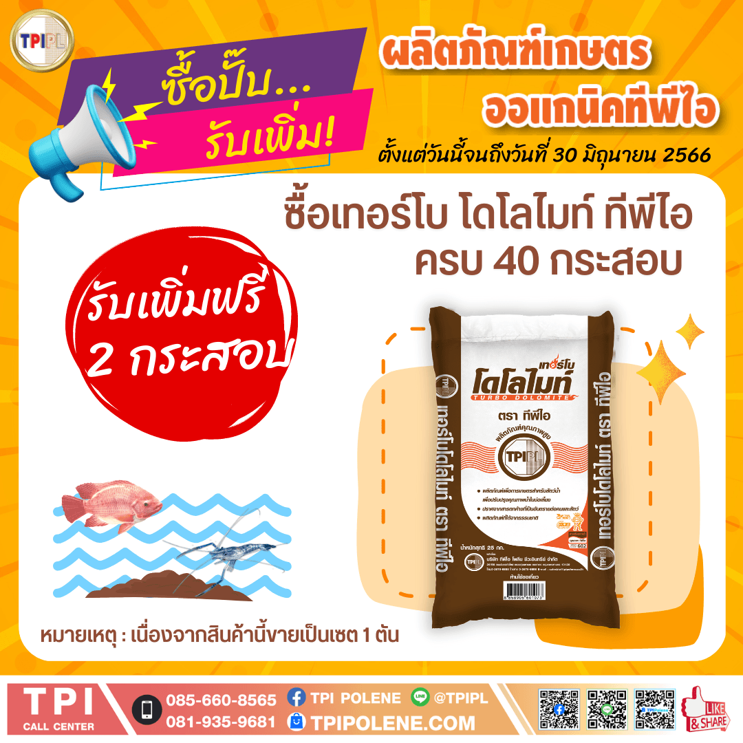 tpipolene