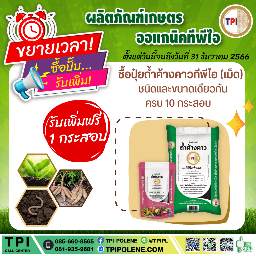 tpipolene