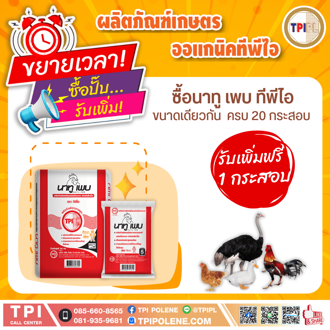 tpipolene