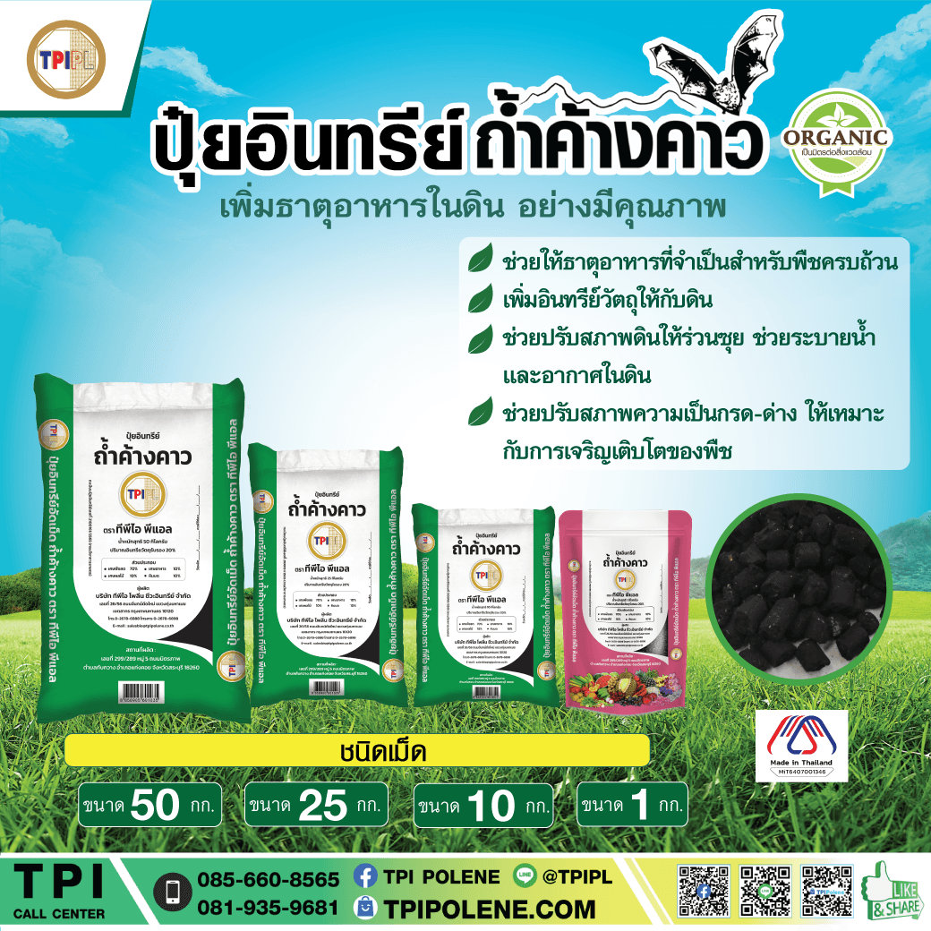 tpipolene