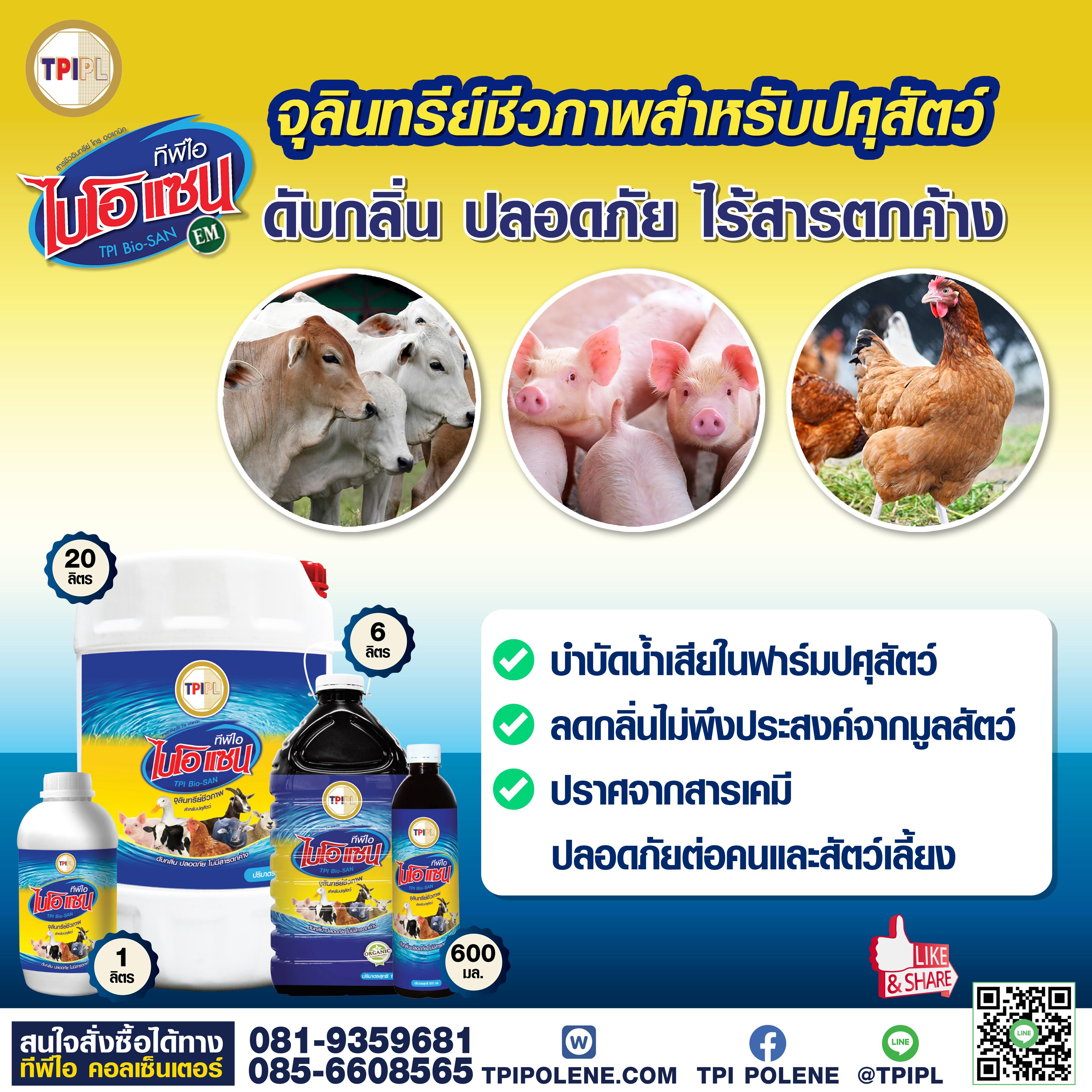 tpipolene