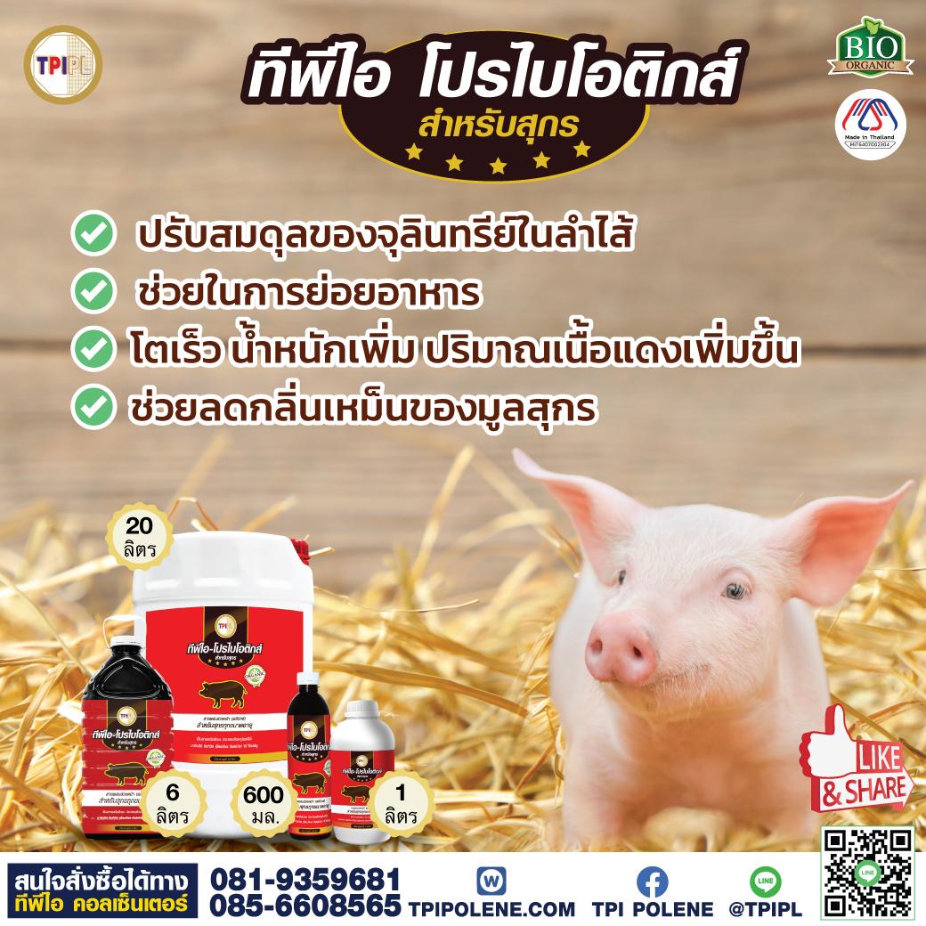tpipolene