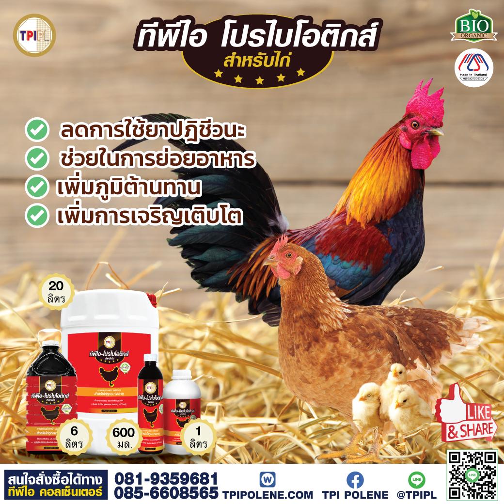 tpipolene