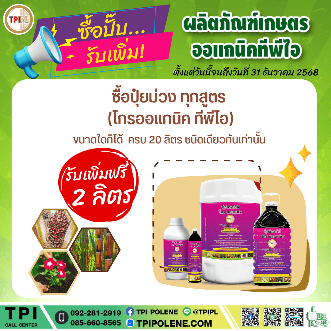 tpipolene