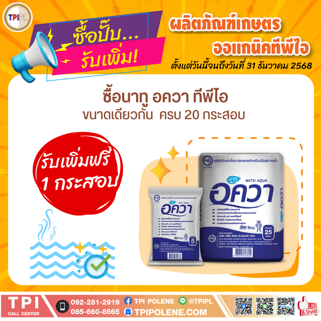 tpipolene