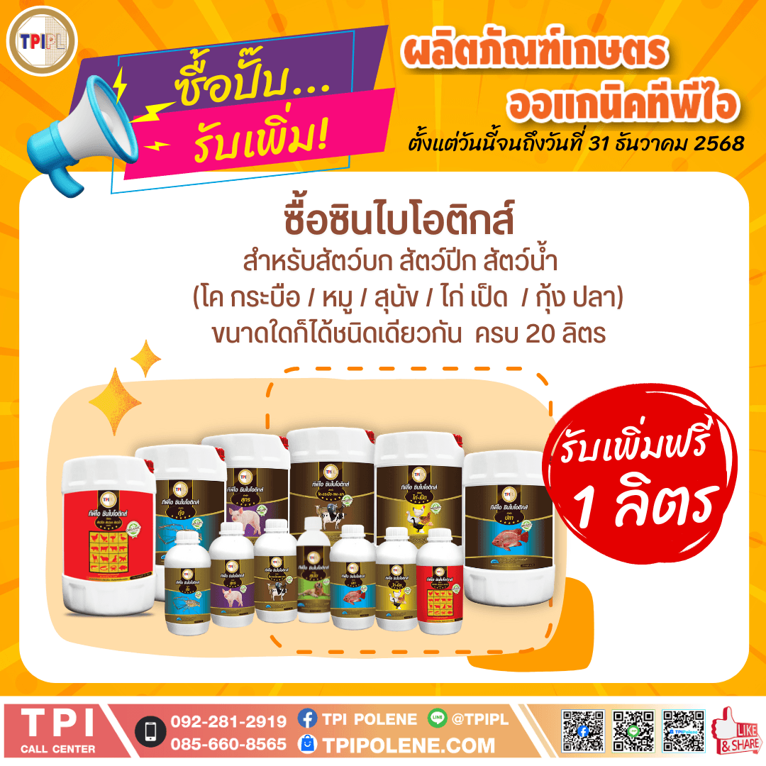 tpipolene