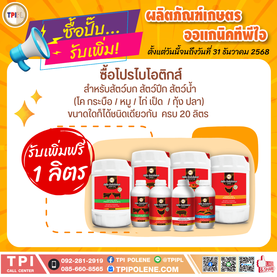 tpipolene