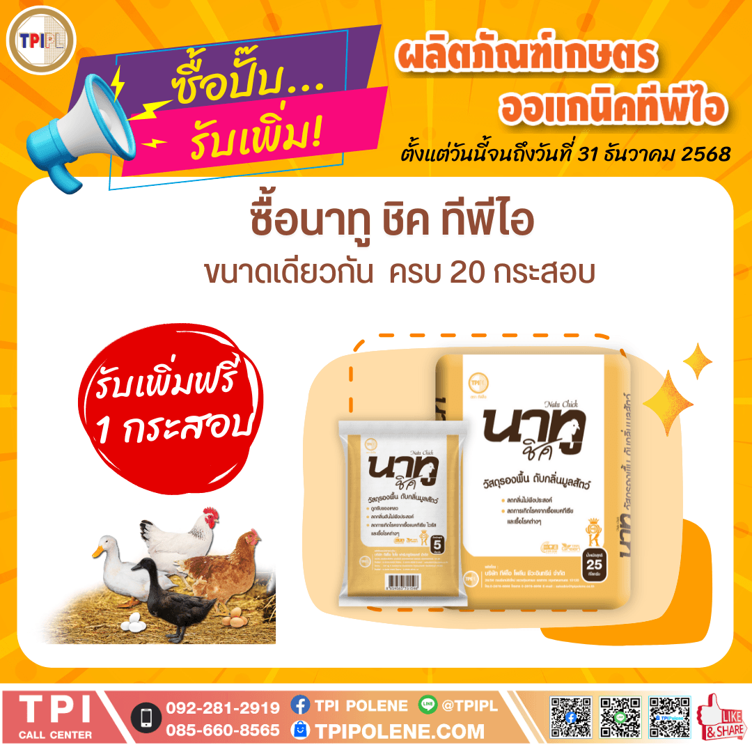 tpipolene